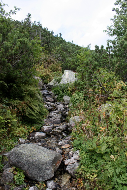 Bystrá z Hrdova (Západné Tatry)