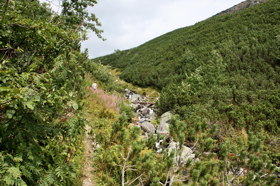 Bystrá z Hrdova (Západné Tatry)