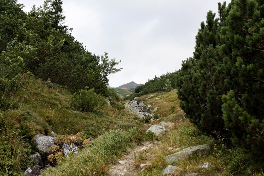 Bystrá z Hrdova (Západné Tatry)