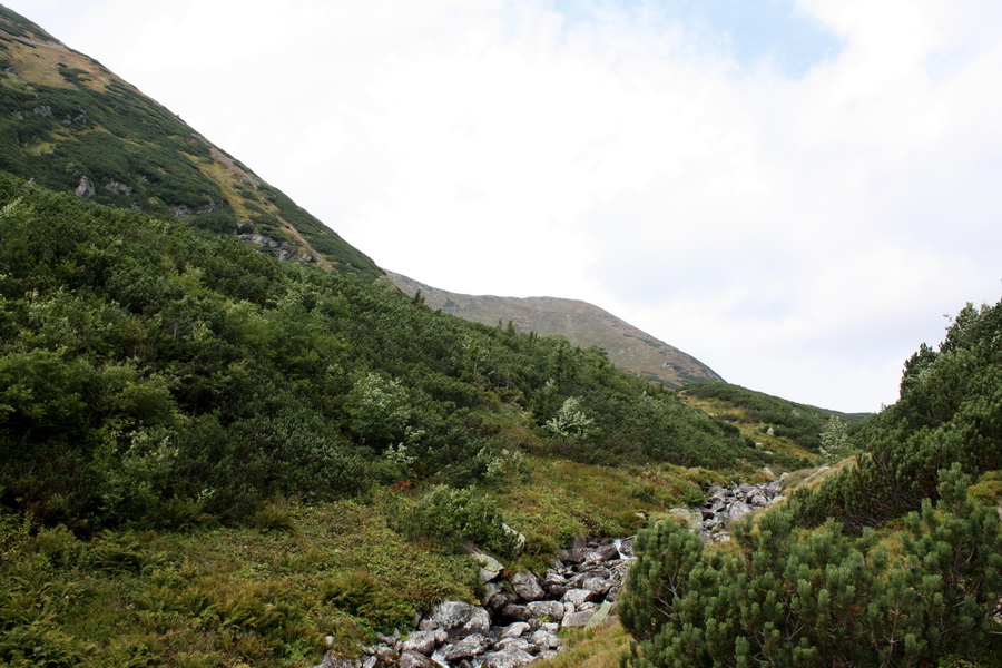 Bystrá z Hrdova (Západné Tatry)