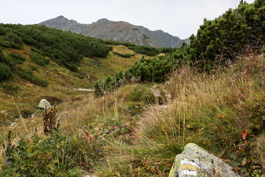 Bystrá z Hrdova (Západné Tatry)