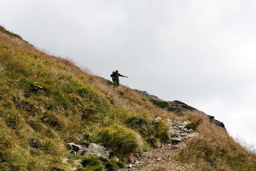 Bystrá z Hrdova (Západné Tatry)