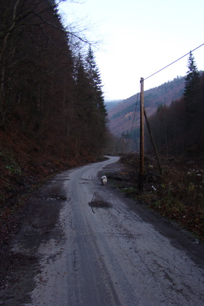 Chabenec (Nízke Tatry)