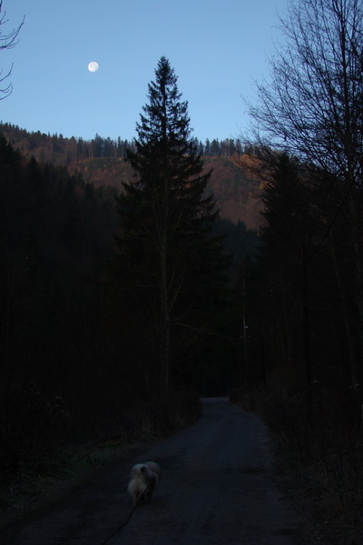 Chabenec (Nízke Tatry)