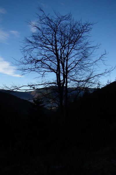 Chabenec (Nízke Tatry)