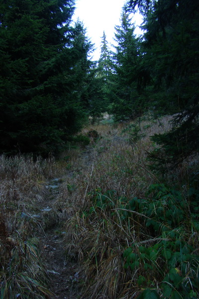 Chabenec (Nízke Tatry)