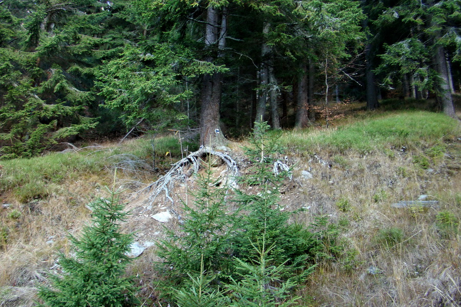 Chabenec (Nízke Tatry)