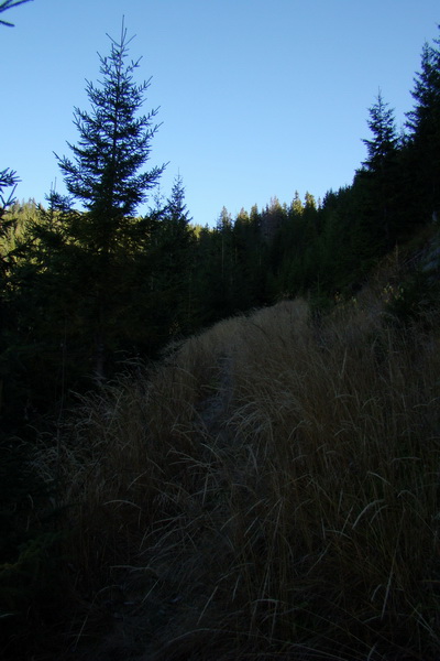 Chabenec (Nízke Tatry)