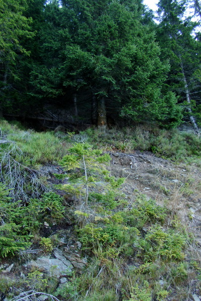 Chabenec (Nízke Tatry)