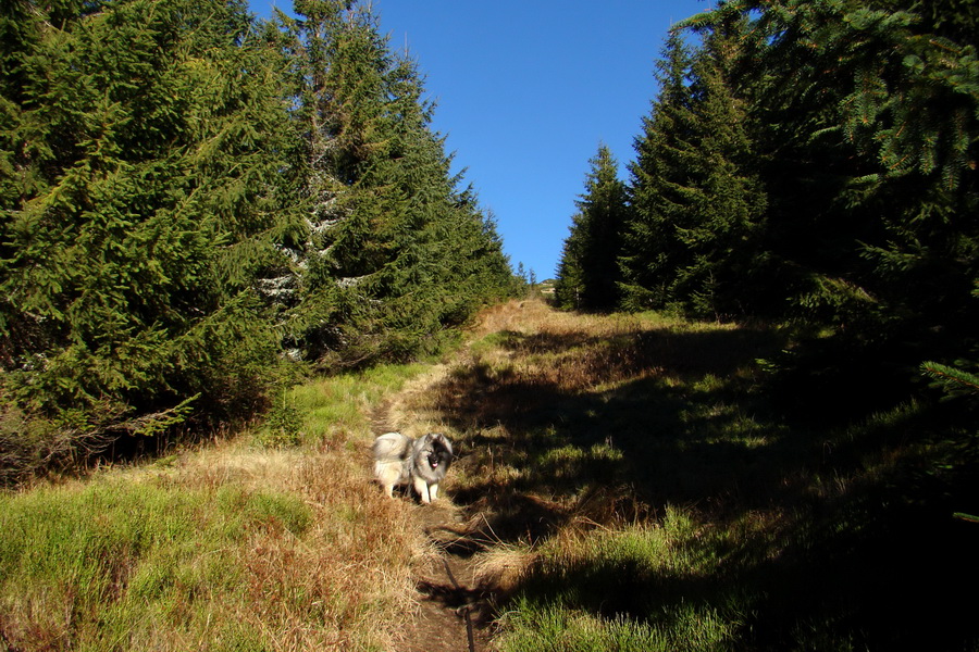 Chabenec (Nízke Tatry)