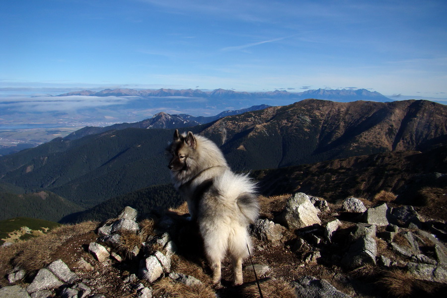 Chabenec (Nízke Tatry)