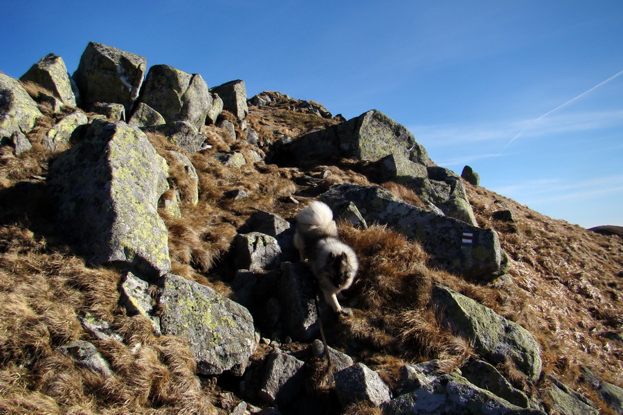 Chabenec (Nízke Tatry)