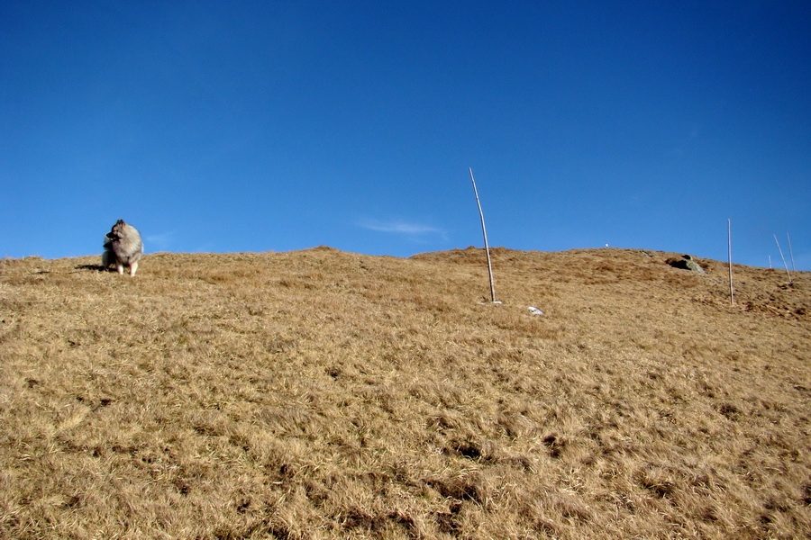 Chabenec (Nízke Tatry)