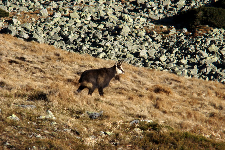 Chabenec (Nízke Tatry)