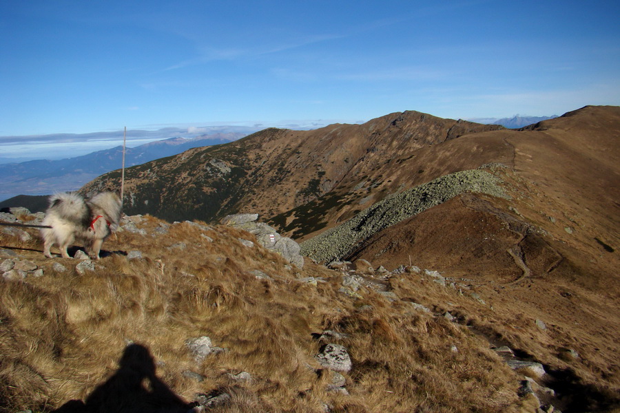 Chabenec (Nízke Tatry)