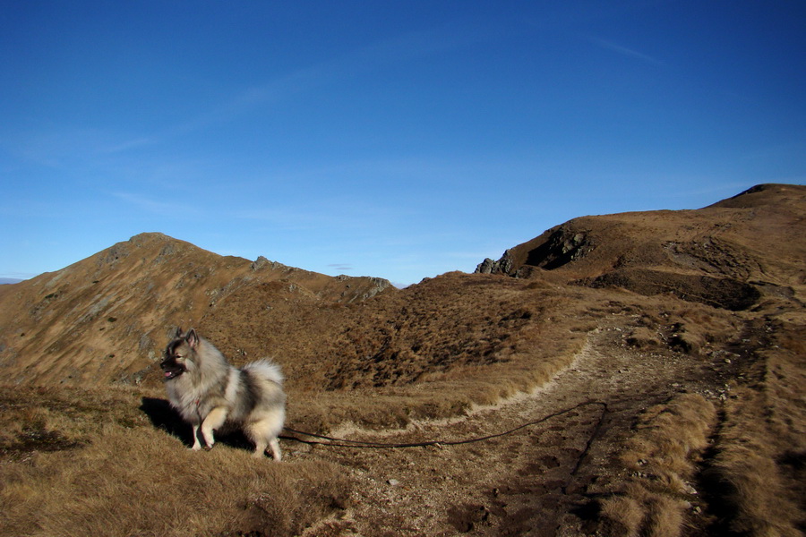 Chabenec (Nízke Tatry)