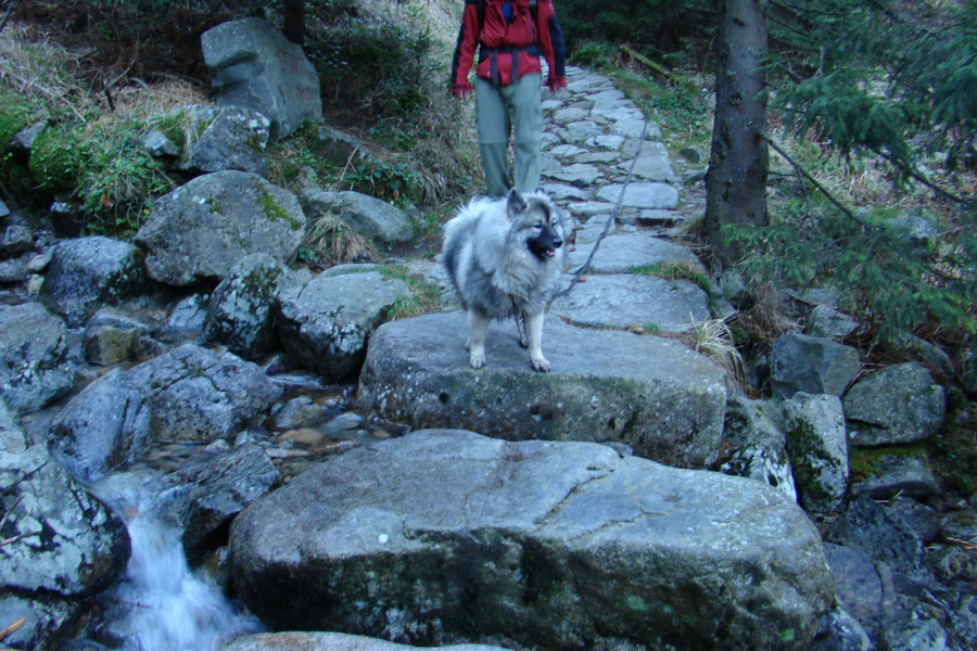 Chabenec (Nízke Tatry)