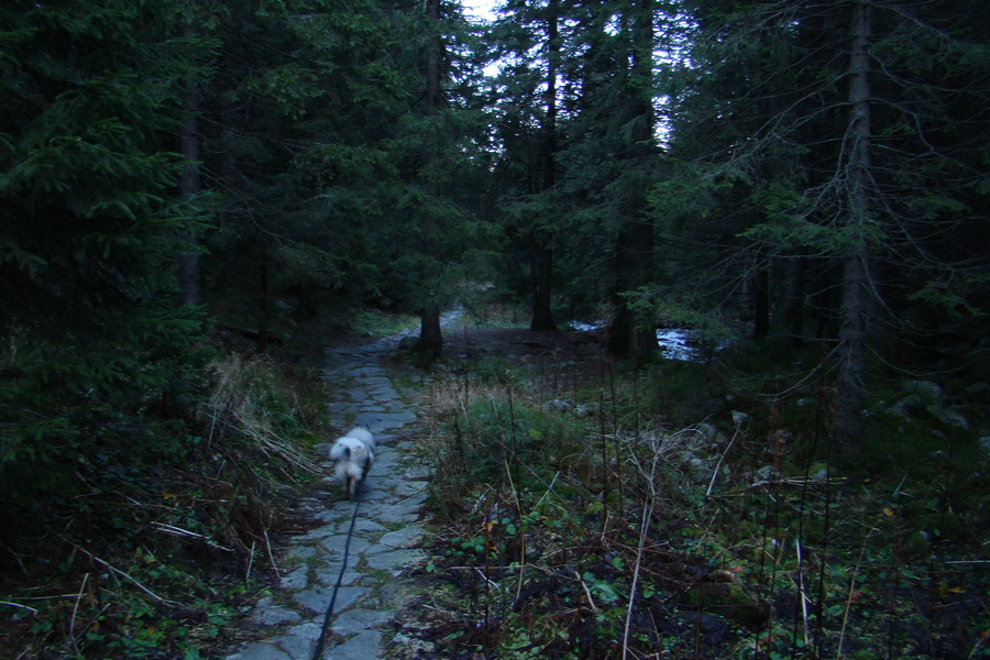 Chabenec (Nízke Tatry)