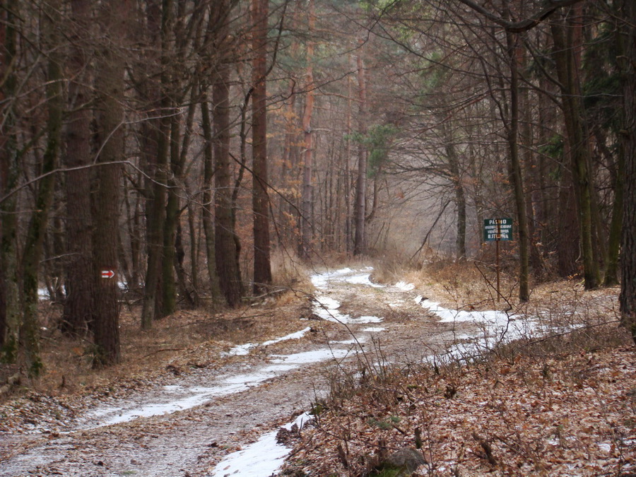 Dievčenská skala (Slovenský kras)