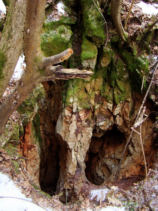 Dievčenská skala (Slovenský kras)