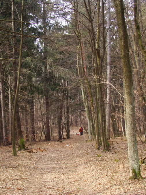 Dievčenská skala (Slovenský kras)