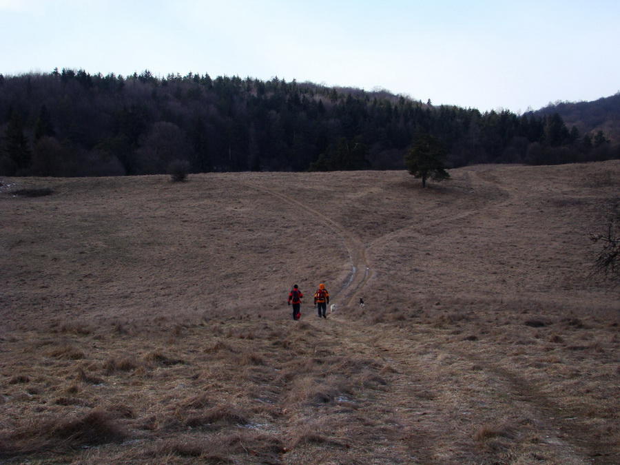 Dievčenská skala (Slovenský kras)