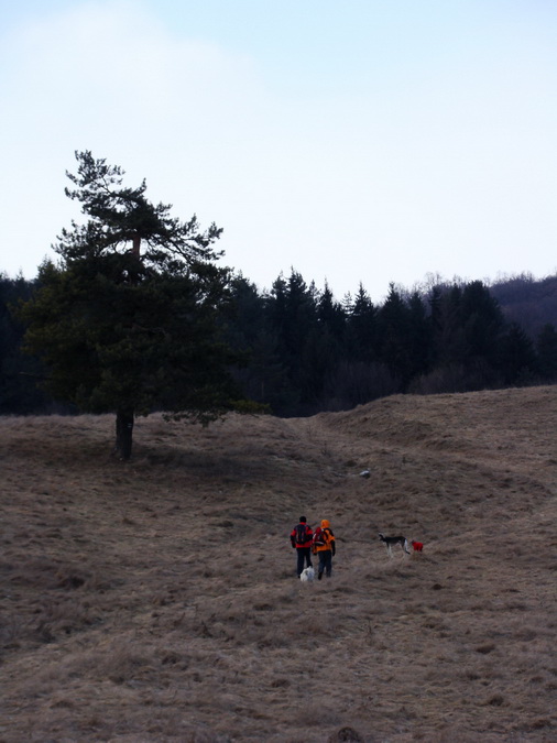 Dievčenská skala (Slovenský kras)