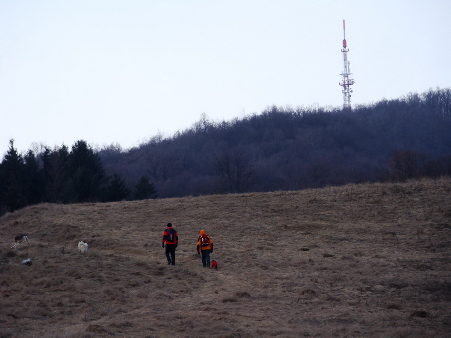 Dievčenská skala (Slovenský kras)