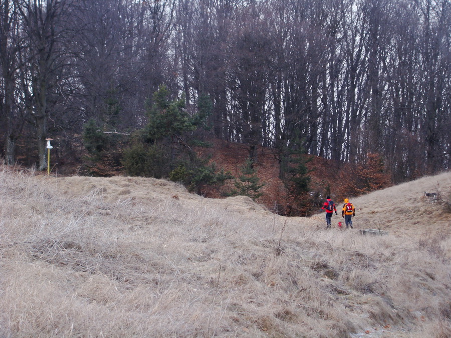 Dievčenská skala (Slovenský kras)