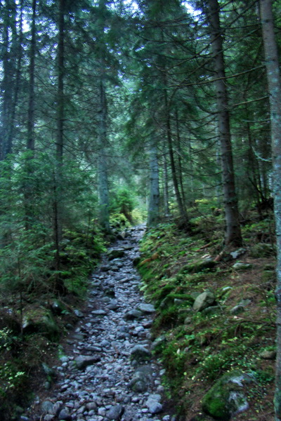 Ďumbier a Krakova hoľa (Nízke Tatry)