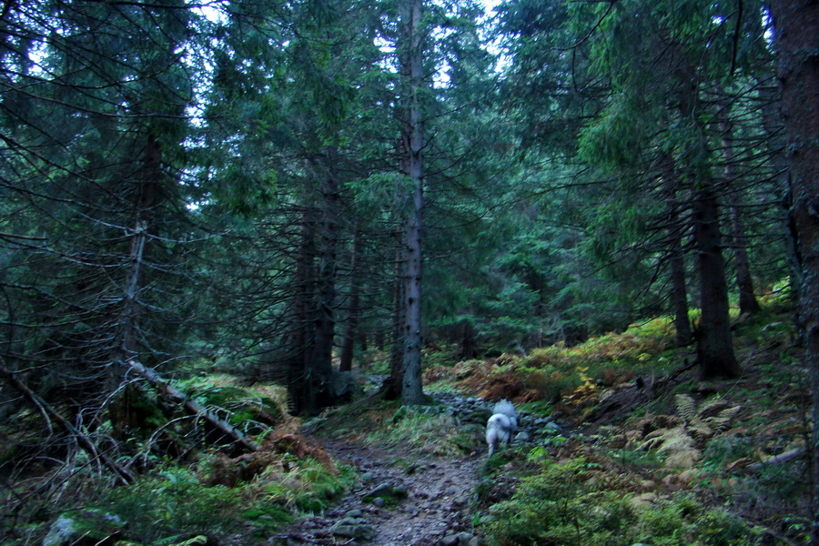 Ďumbier a Krakova hoľa (Nízke Tatry)