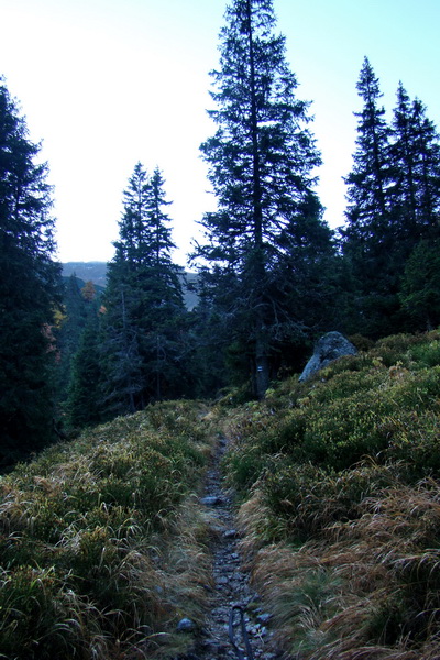 Ďumbier a Krakova hoľa (Nízke Tatry)