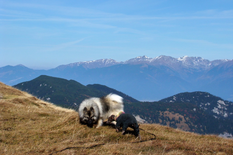 Ďumbier a Krakova hoľa (Nízke Tatry)