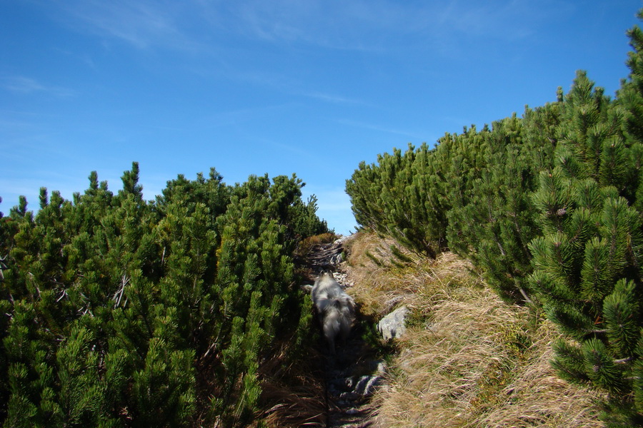 Ďumbier a Krakova hoľa (Nízke Tatry)