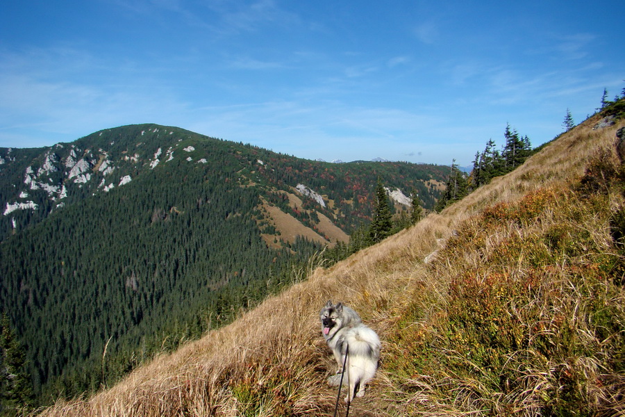 Ďumbier a Krakova hoľa (Nízke Tatry)