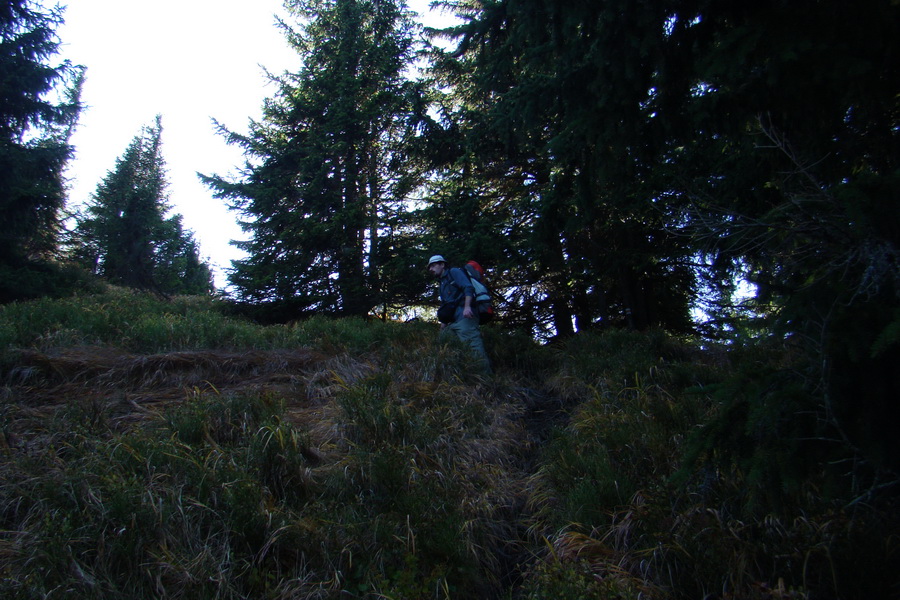 Ďumbier a Krakova hoľa (Nízke Tatry)