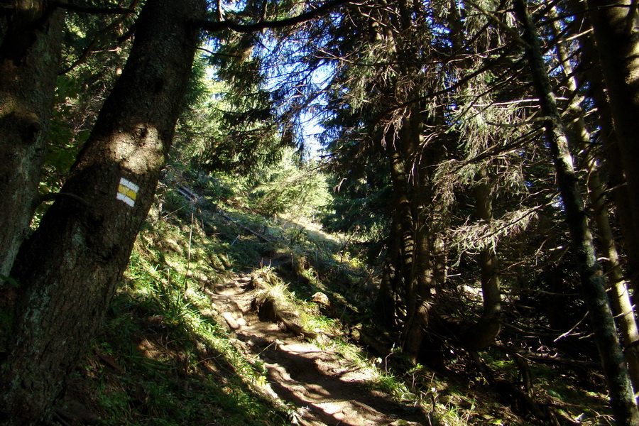 Ďumbier a Krakova hoľa (Nízke Tatry)