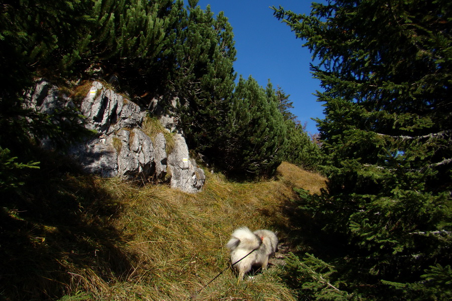 Ďumbier a Krakova hoľa (Nízke Tatry)