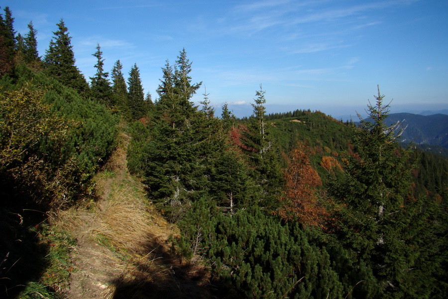 Ďumbier a Krakova hoľa (Nízke Tatry)