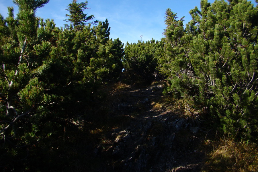 Ďumbier a Krakova hoľa (Nízke Tatry)