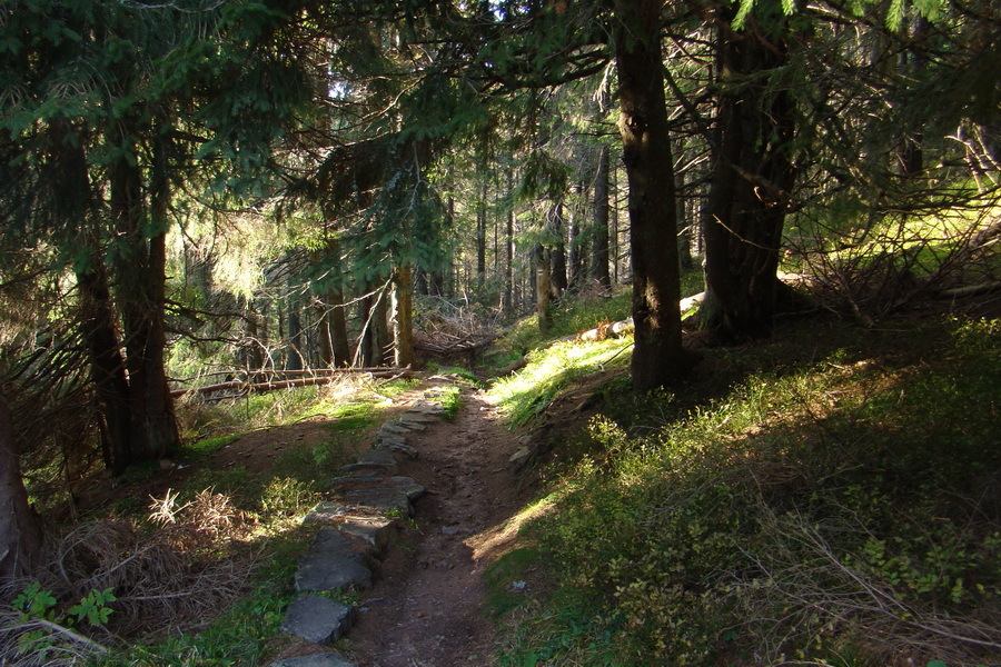 Ďumbier a Krakova hoľa (Nízke Tatry)