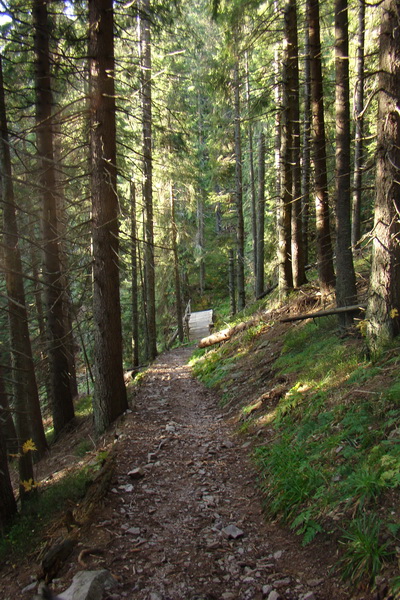 Ďumbier a Krakova hoľa (Nízke Tatry)