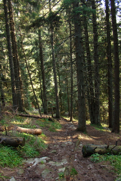 Ďumbier a Krakova hoľa (Nízke Tatry)