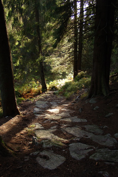 Ďumbier a Krakova hoľa (Nízke Tatry)