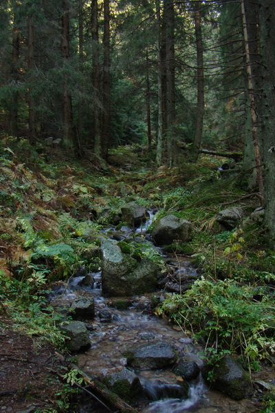 Ďumbier a Krakova hoľa (Nízke Tatry)