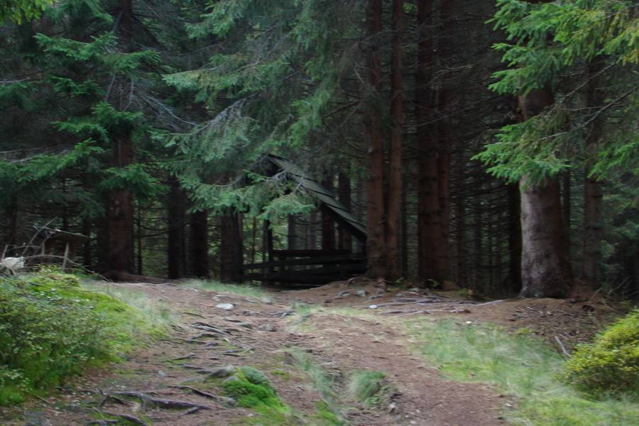 Ďumbier a Krakova hoľa (Nízke Tatry)