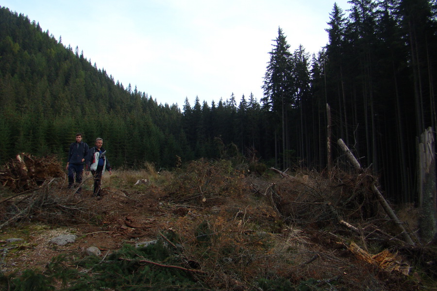 Ďumbier a Krakova hoľa (Nízke Tatry)