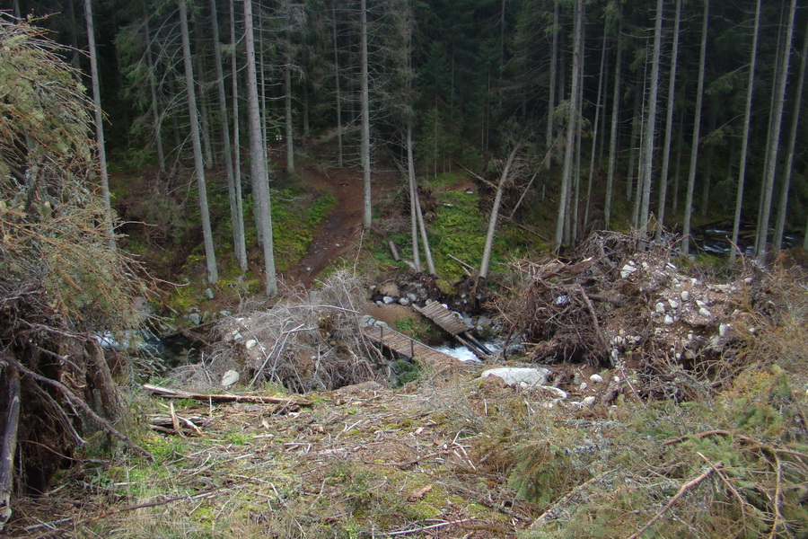 Ďumbier a Krakova hoľa (Nízke Tatry)