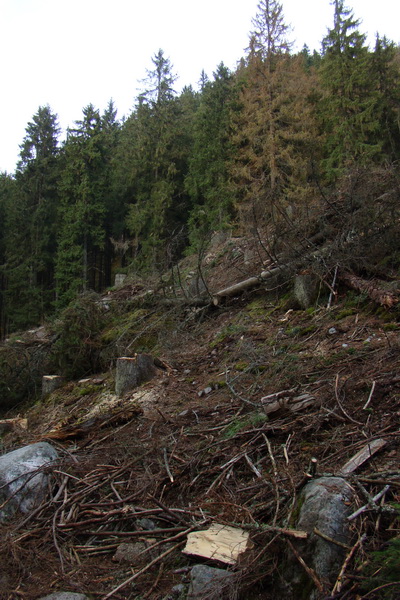 Ďumbier a Krakova hoľa (Nízke Tatry)