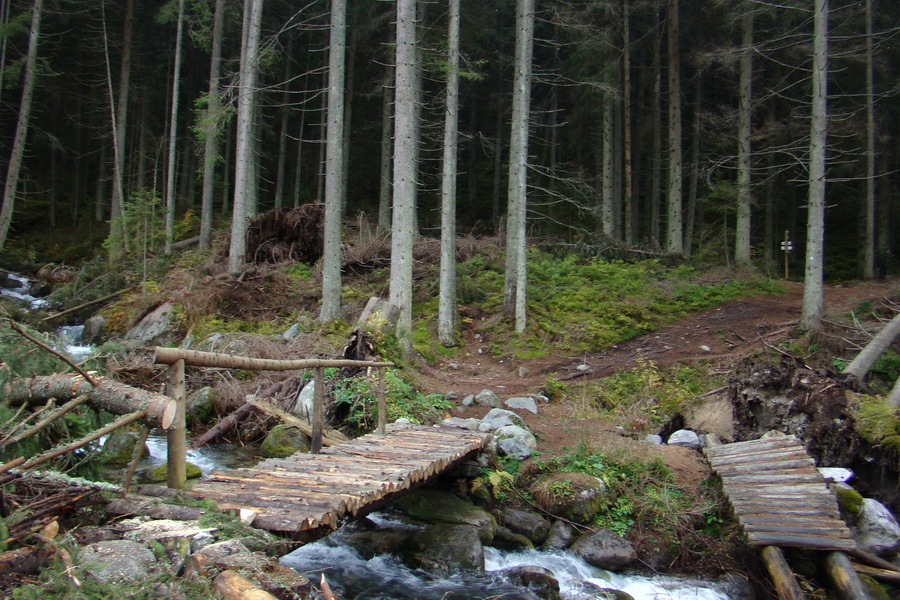 Ďumbier a Krakova hoľa (Nízke Tatry)